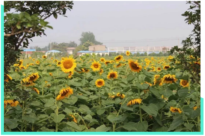 1536637592854659.png blob.png